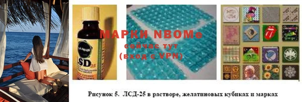 ГАЛЛЮЦИНОГЕННЫЕ ГРИБЫ Белокуриха