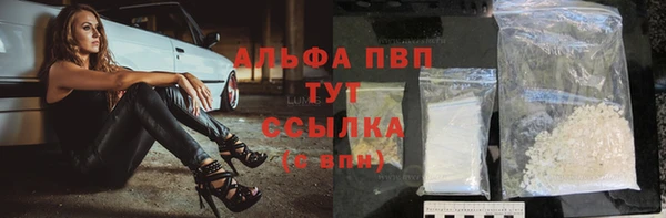 ГАЛЛЮЦИНОГЕННЫЕ ГРИБЫ Белокуриха