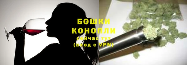 сатива Богородск