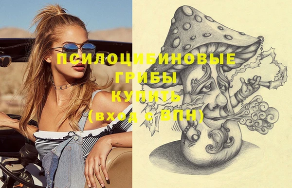 тгк Весьегонск
