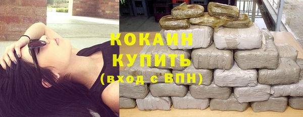ГАЛЛЮЦИНОГЕННЫЕ ГРИБЫ Белокуриха