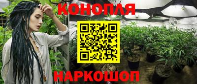 кокс Кандалакша