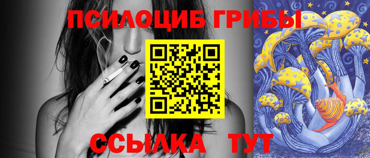Кушва  Псилоцибиновые грибы MAGIC MUSHROOMS  Вход с VPN 